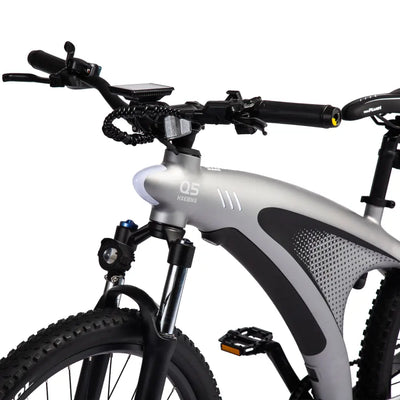 HX Q5 Shark Electric Bike