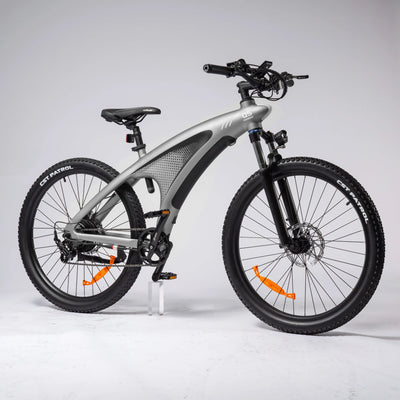 HX Q5 Shark Electric Bike