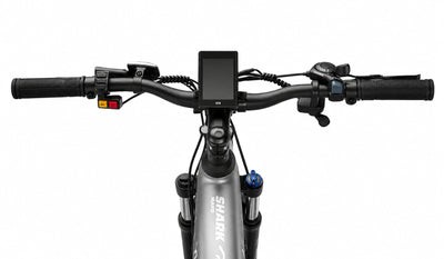 HX Q5 Shark Electric Bike