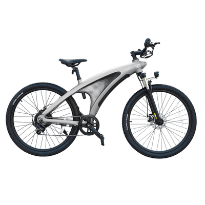 HX Q5 Shark Lite Electric Bike-48V 13Ah 1000W