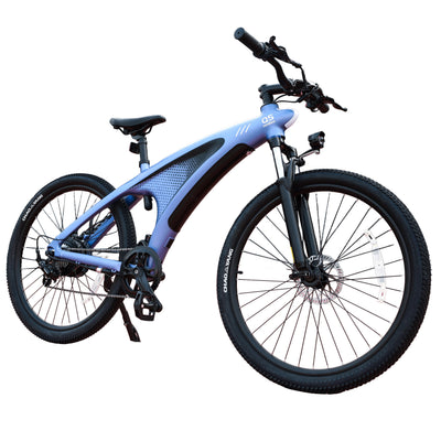 HX Q5 Shark Lite Electric Bike-48V 13Ah 1000W